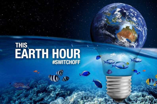 The Big Switches we can Make This Earth Hour ?