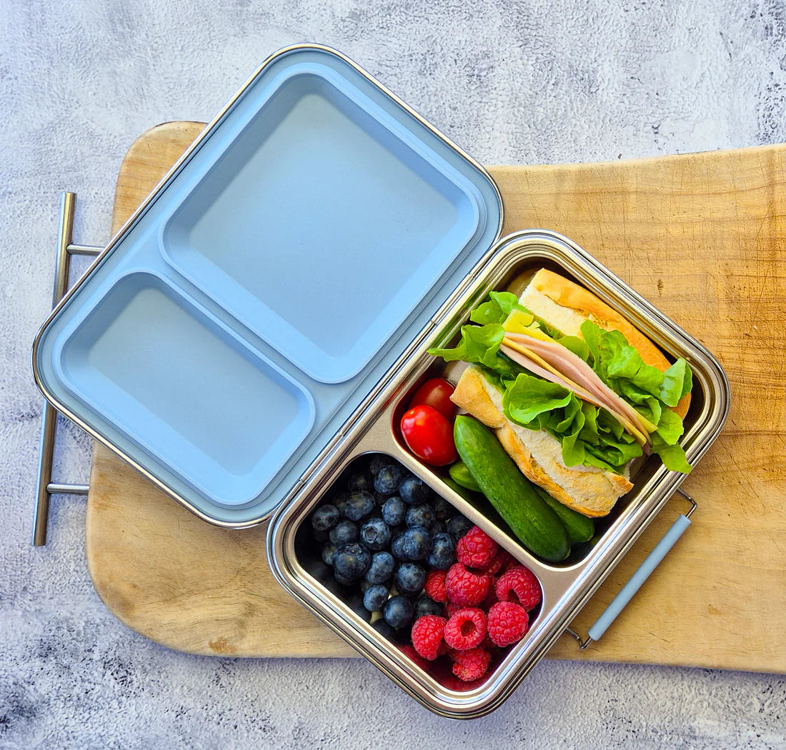 EcoCocoon Bento Lunch Boxes - 2 Compartment