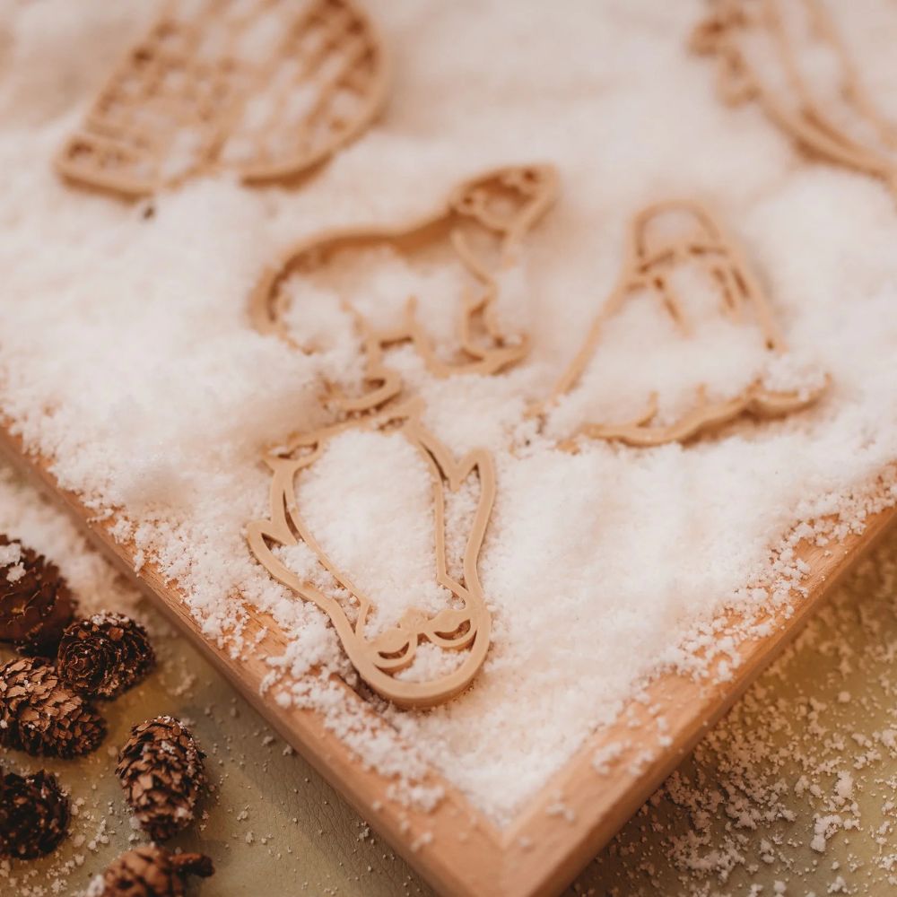 Cookie Cutter / Play Dough Cutter Set - Arctic (set of 5)