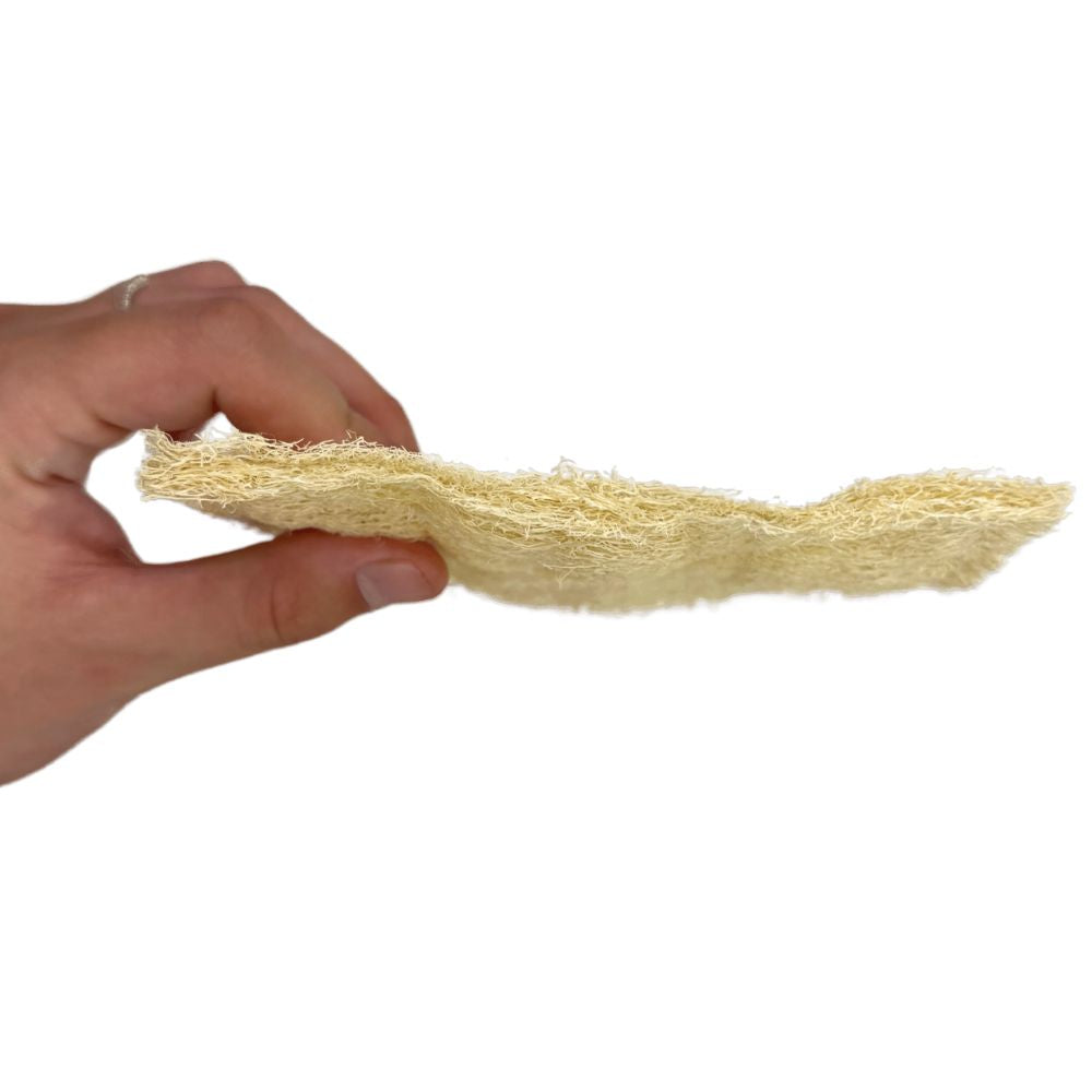 Green Essentials Loofah All Purpose Scrubber Set of 2 – Large