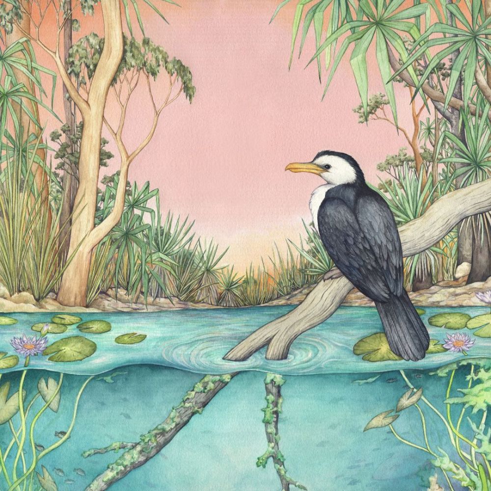 Ingrid Bartkowiak Art Card - Little Pied Cormorant/Bitter Springs