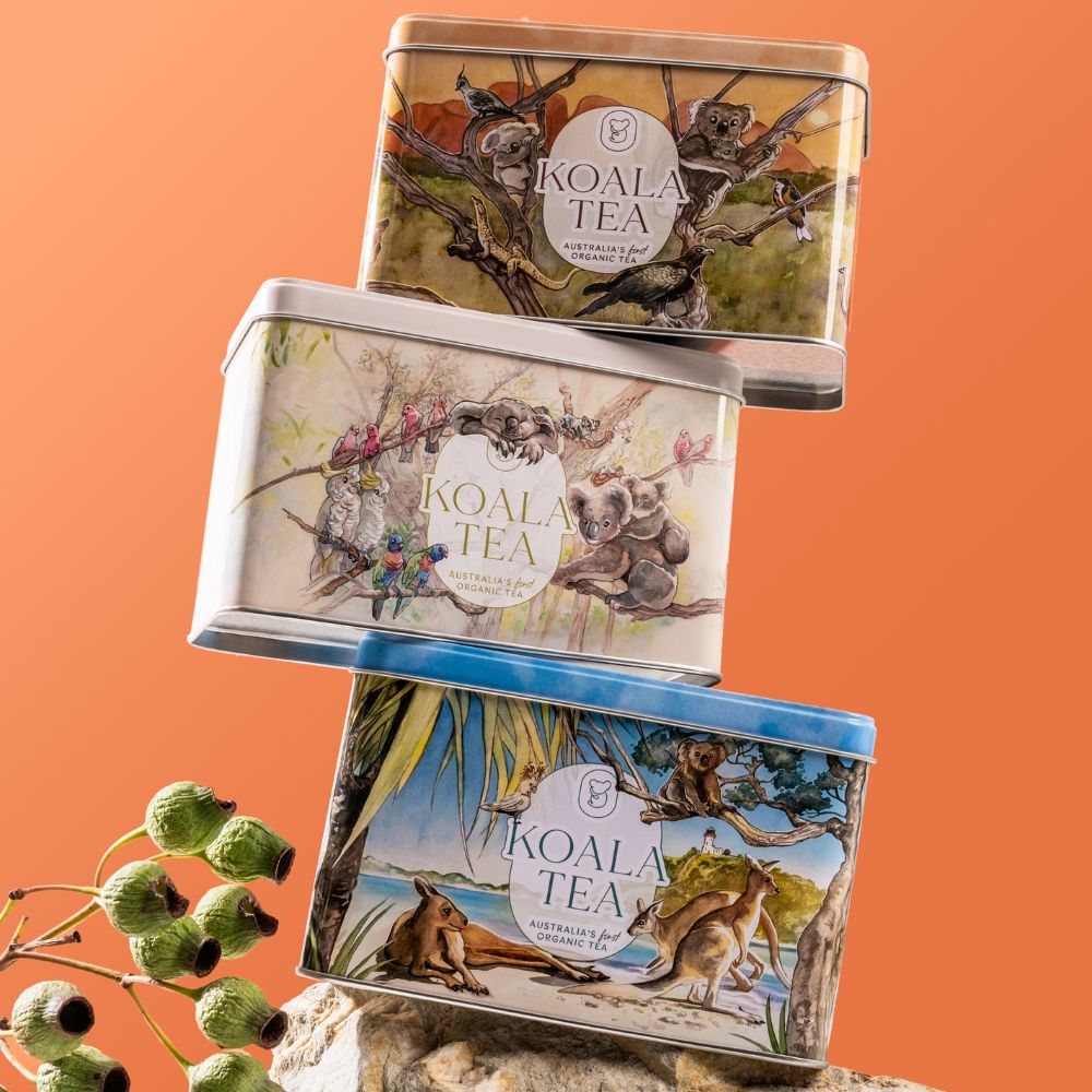 Koala Tea Gift Tin Desert - Organic Tea Bags Selection (25 pack)
