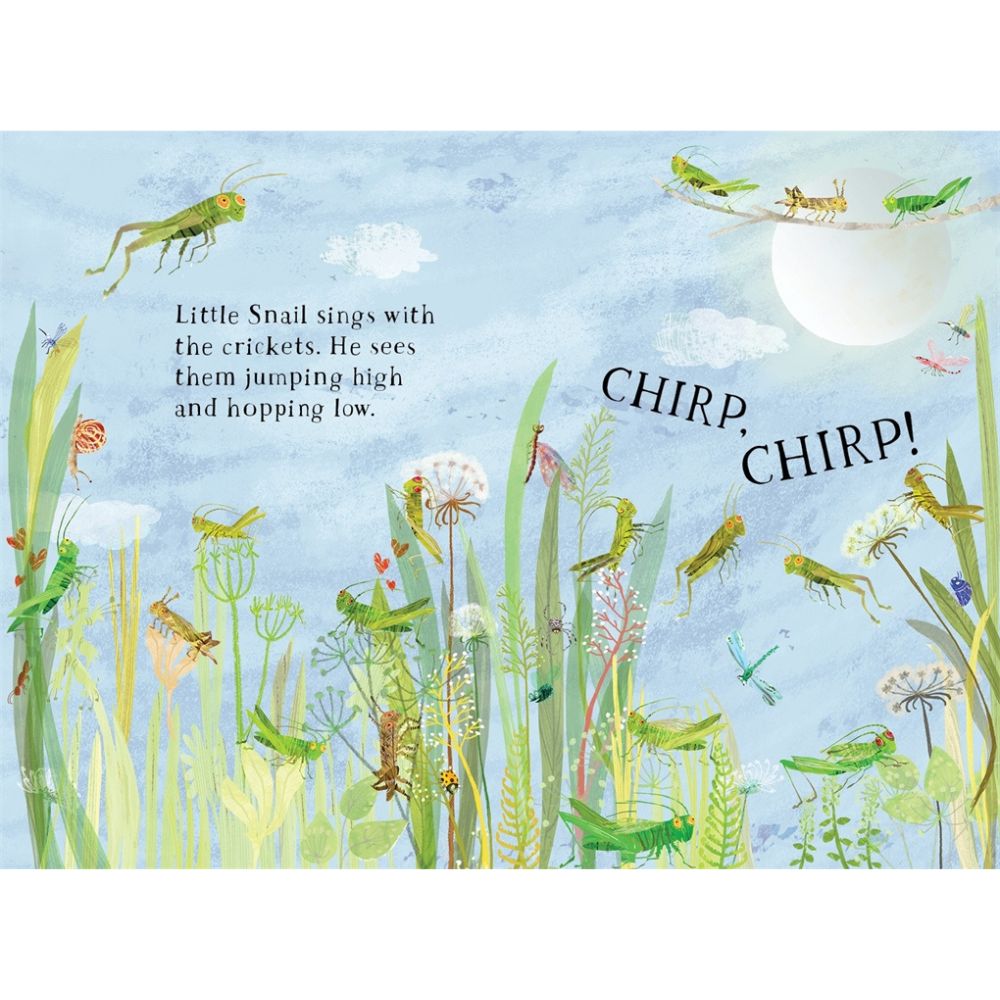 Little Snail's Book of Bugs