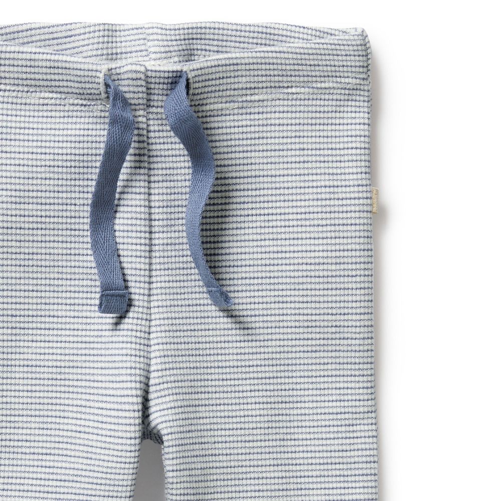 Wilson & Frenchy Organic Stripe Rib Legging - Rain Drop