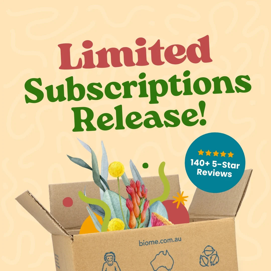 4 x Biome Box Subscription - Starts SUMMER 25: palm oil free, vegan lifestyle box