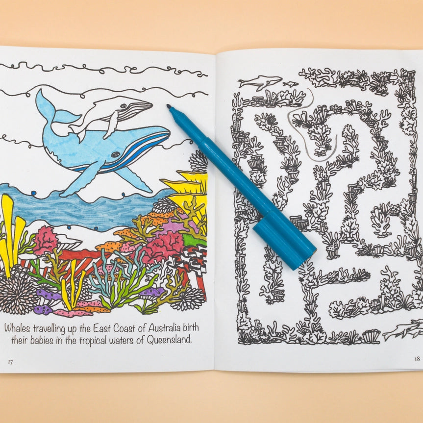 Sunshine Sea Art Activity Book - Whale