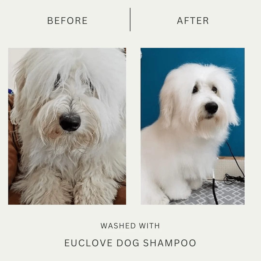 Euclove Shampoo For Dogs 500ml