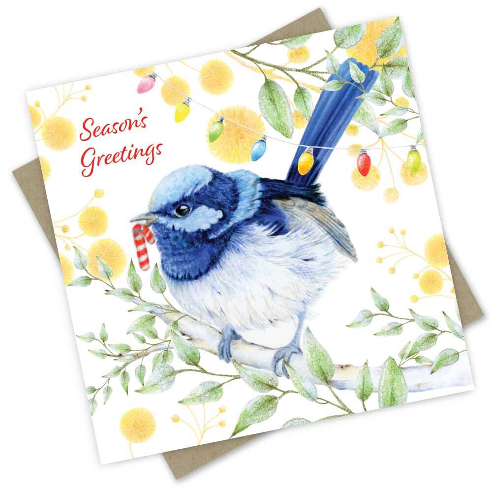 Popcorn Blue Assorted Christmas Card Set