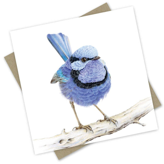 Popcorn Blue Waru Splendid Fairy Wren Greeting Card