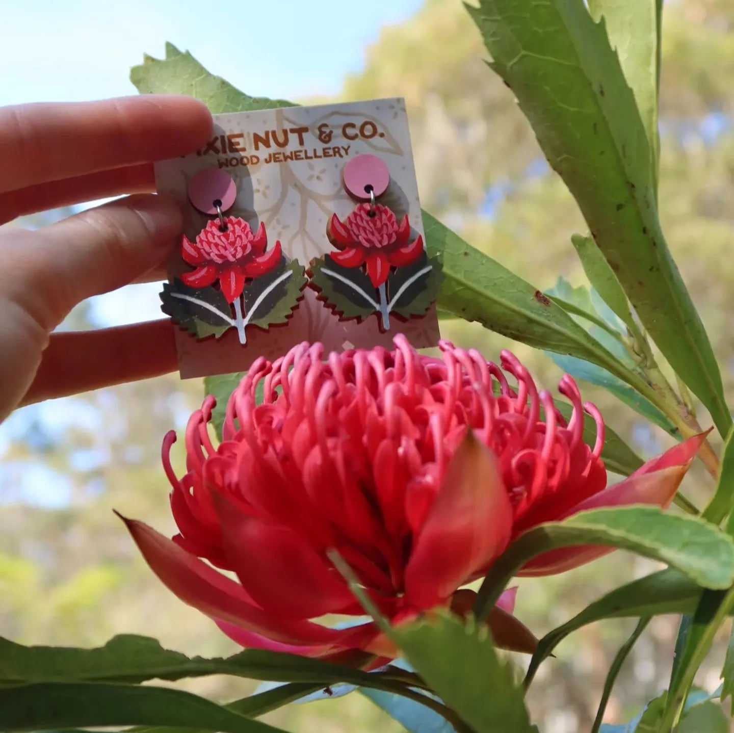 Pixie Nut & Co. Waratah Earrings