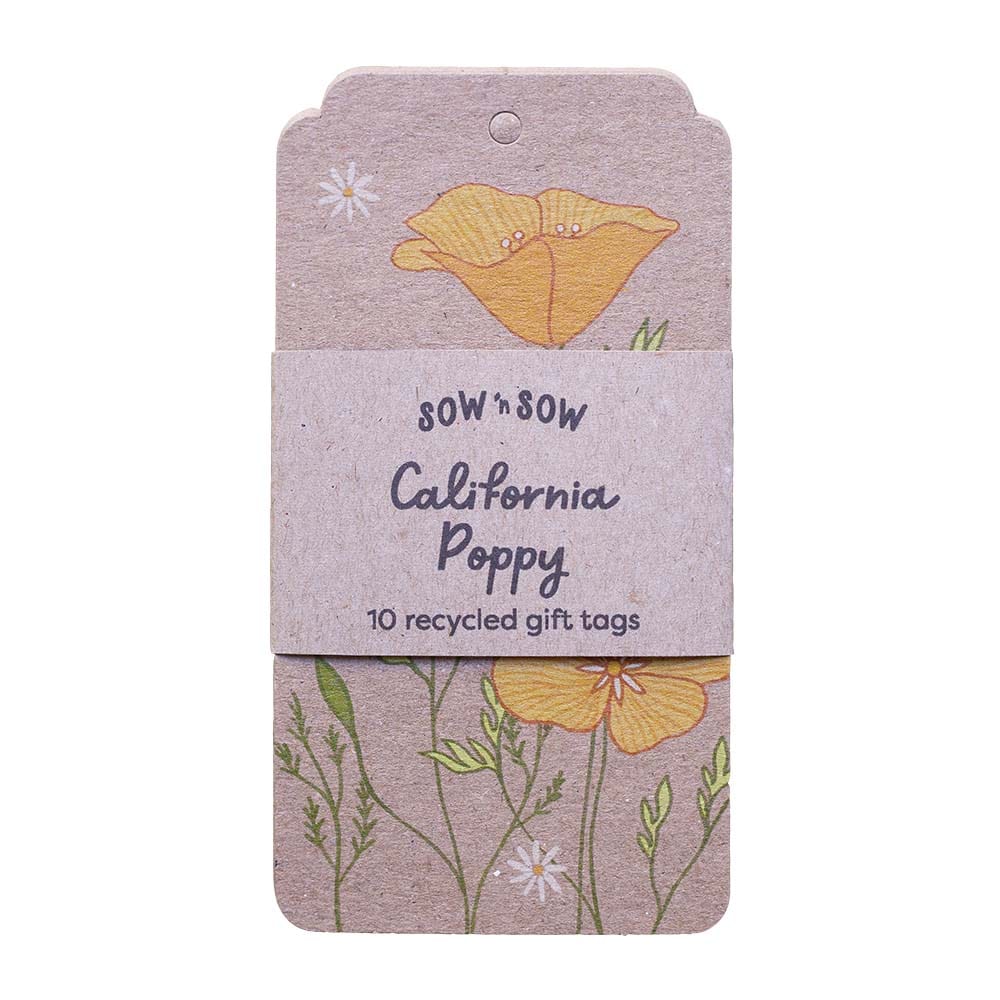 Sow 'n Sow California Poppy Gift Tag 10pk