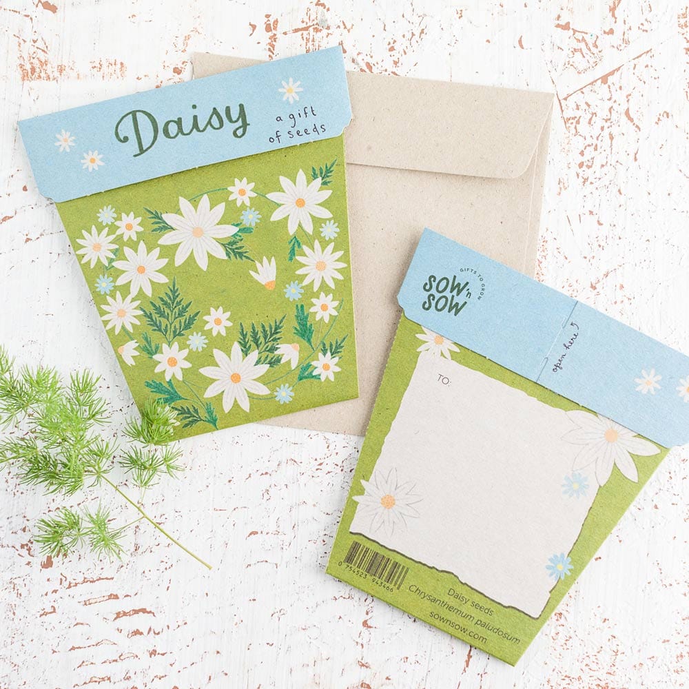 Sow 'n Sow Gift of Seeds Greeting Card - Daisy