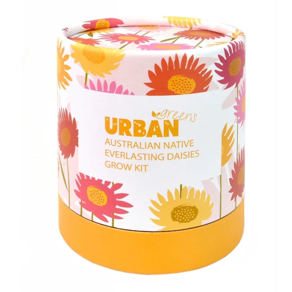 UrbanGreens Australian Native Grow Kit Everlasting Daisies