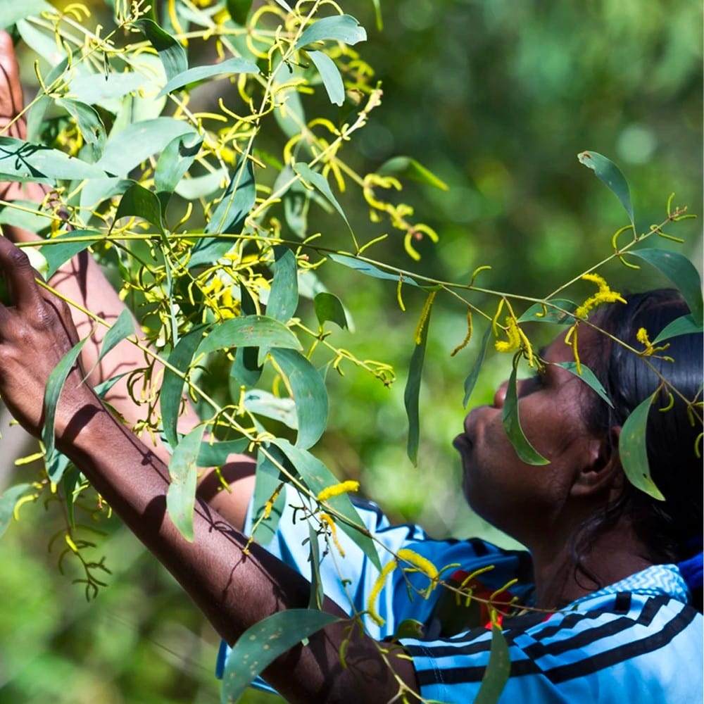 Bush Medijina Miracle Balm Skin Sanity with Merrika 40g