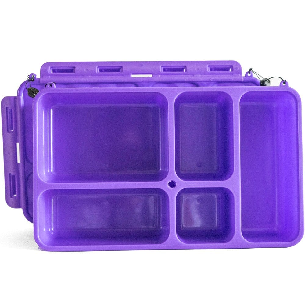 Go Green Snack Box 5 Compartment - Purple