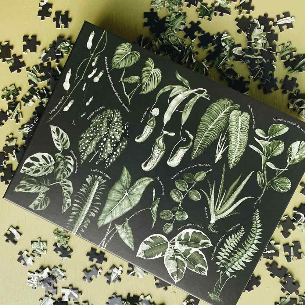 Leaf Supply: The House Plant Collection Jigsaw Puzzle