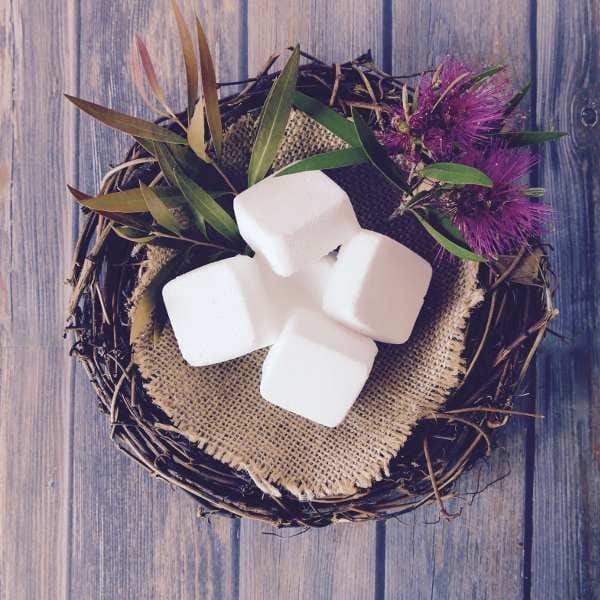 Lil' Bit Toilet Cleaning Tablets 20pk