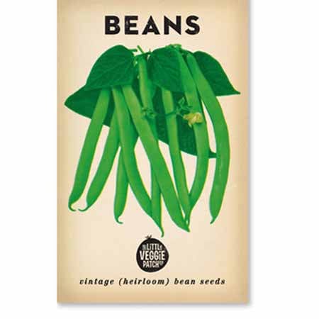 Little Veggie Patch Heirloom seeds - beans windsor long pod