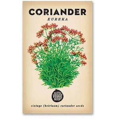 Little Veggie Patch Heirloom seeds - coriander eureka