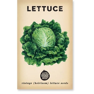 Little Veggie Patch Heirloom seeds - lettuce boston