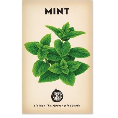 Little Veggie Patch Heirloom seeds - mint peppermint