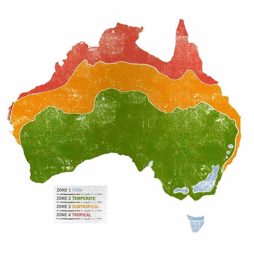 Little Veggie Patch Heirloom Seeds - Viola Johnny Jump Up