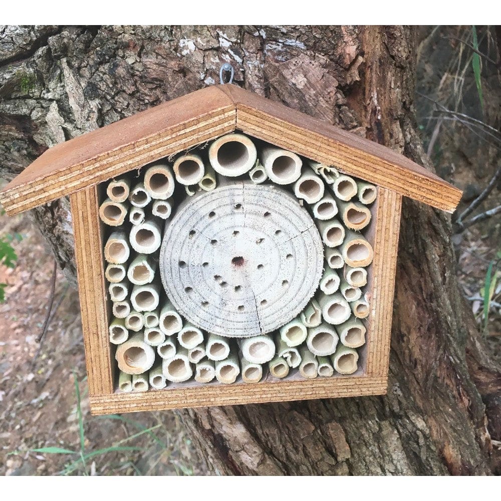 Native Solitary Bees Bee Hotel - Small