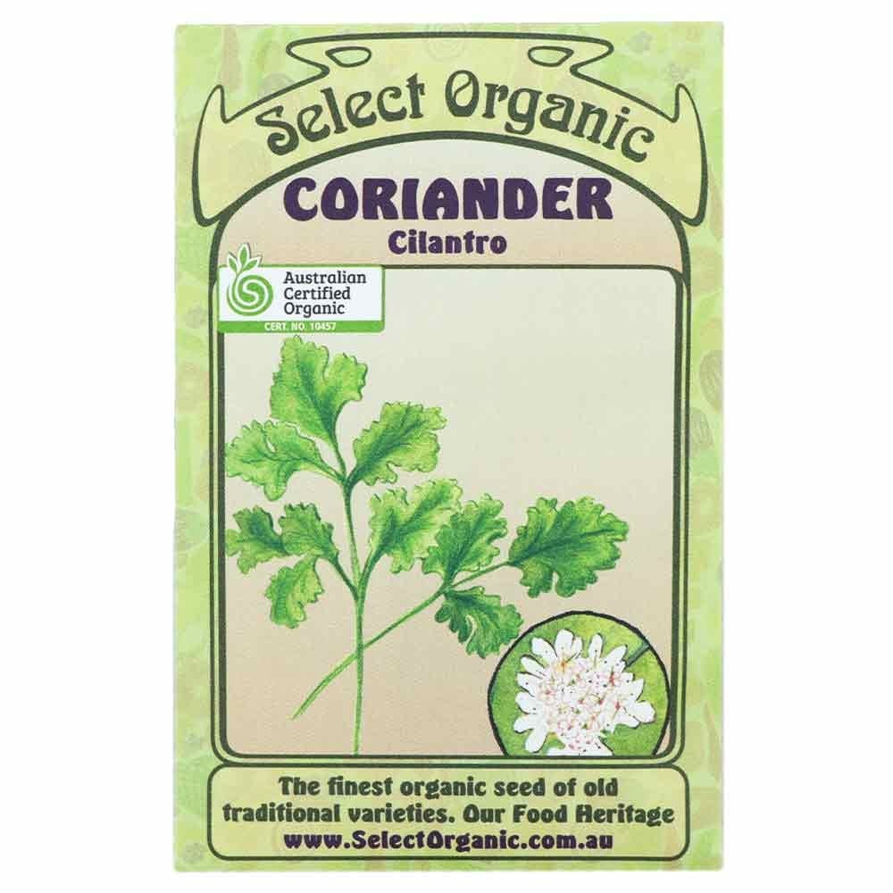 Select Organic Seeds - Cilantro Coriander