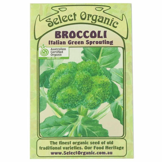 Select Organic Seeds - Italian Green Sprouting Broccoli