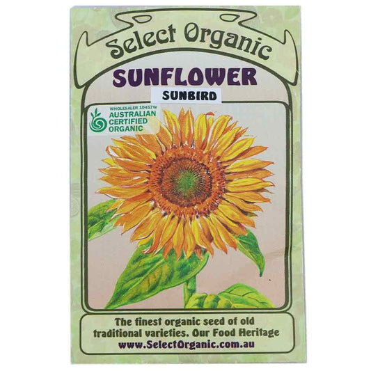 Select Organic Seeds - Sunbird Sunflower