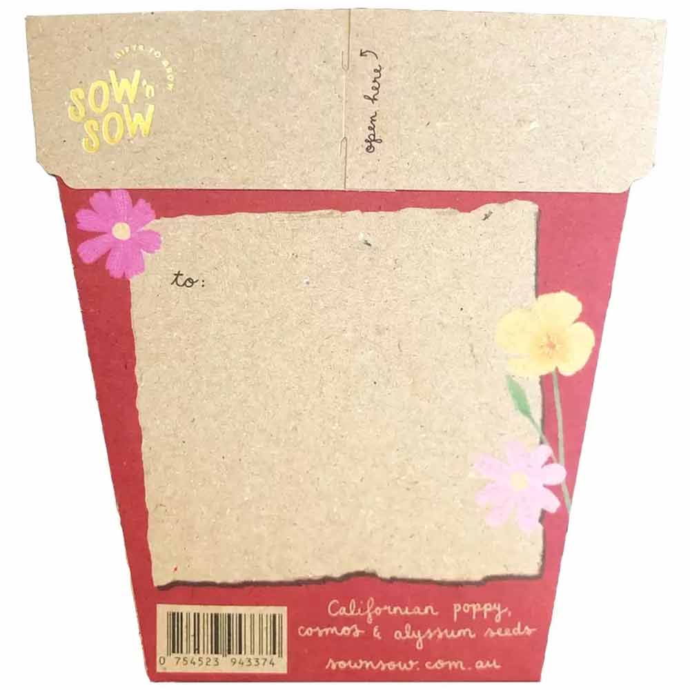 Sow 'n Sow Gift of Seeds Christmas Card - Wildflowers