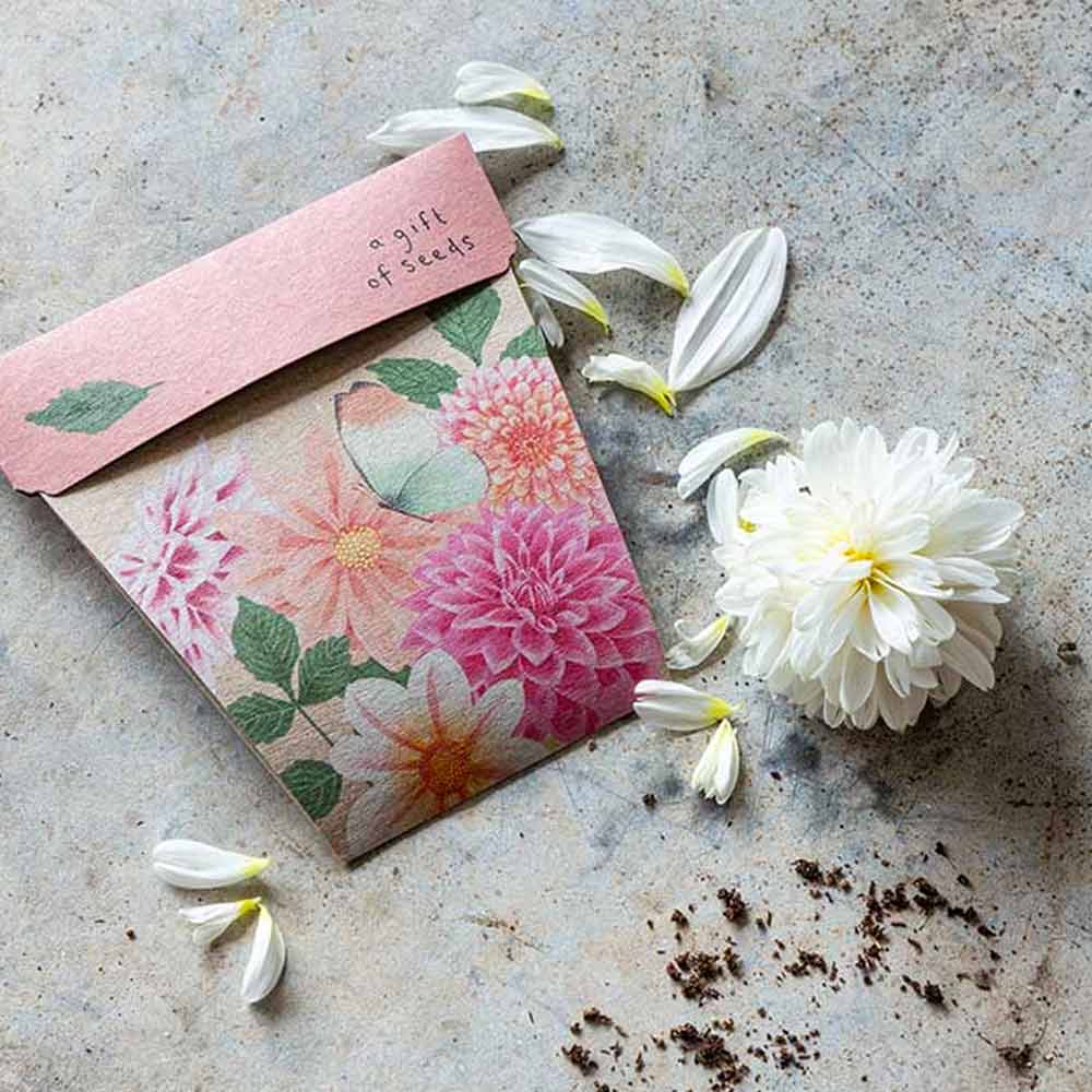 Sow 'n Sow Gift of Seeds Greeting Card - Dahlia