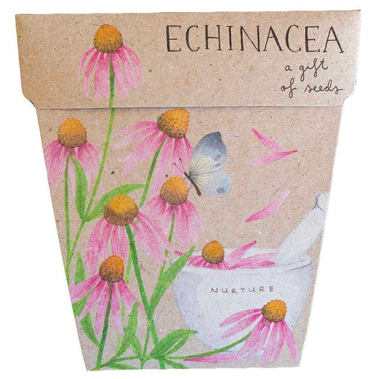 Sow 'n Sow Gift of Seeds Greeting Card - Echinacea