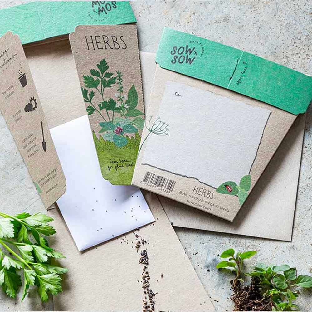 Sow 'n Sow Gift of Seeds Greeting Card - Garden Herbs