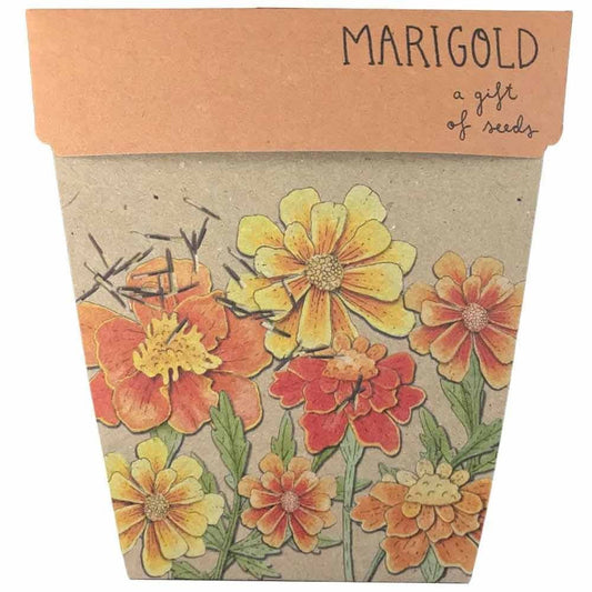 Sow 'n Sow Gift of Seeds Greeting Card - Marigolds