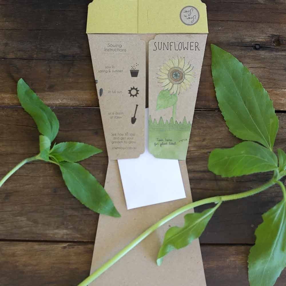 Sow 'n Sow Gift of Seeds Greeting Card - Sunflower