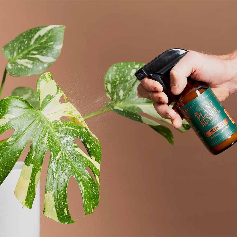 The Plant Runner Neem Oil Natural Leaf Shine 250ml