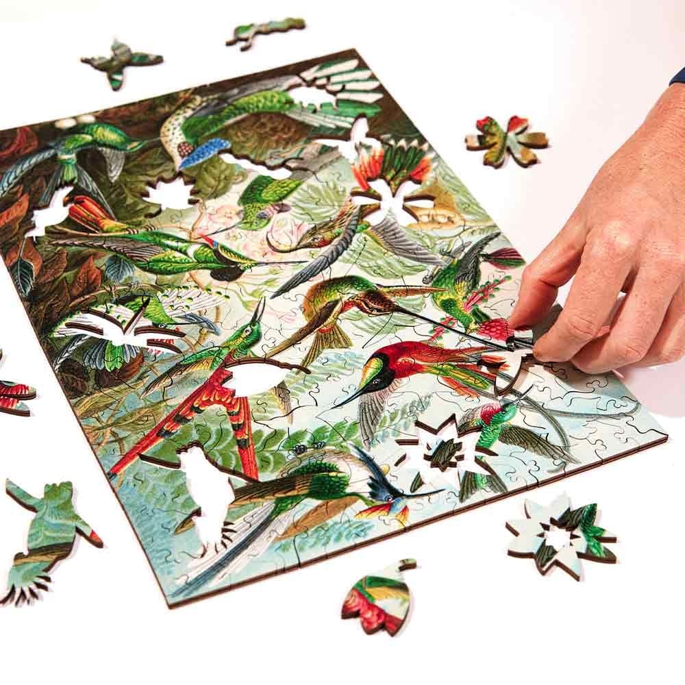 Twigg Puzzles Ernst Haeckel Hummingbirds - 228 Piece