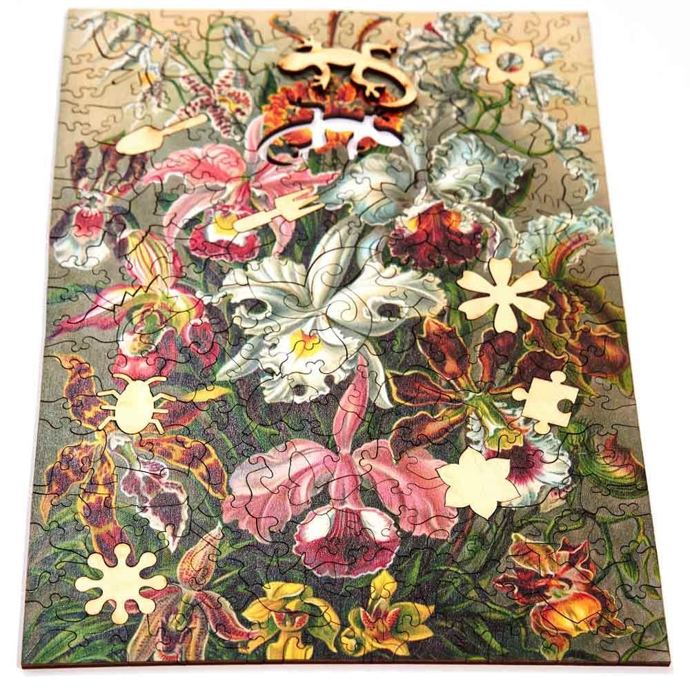 Twigg Puzzles Ernst Haeckel Orchids - 200 Piece