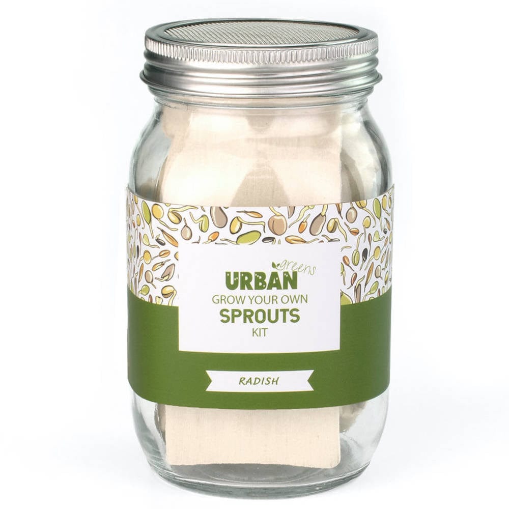 UrbanGreens Sprout Jar Kit - Radish