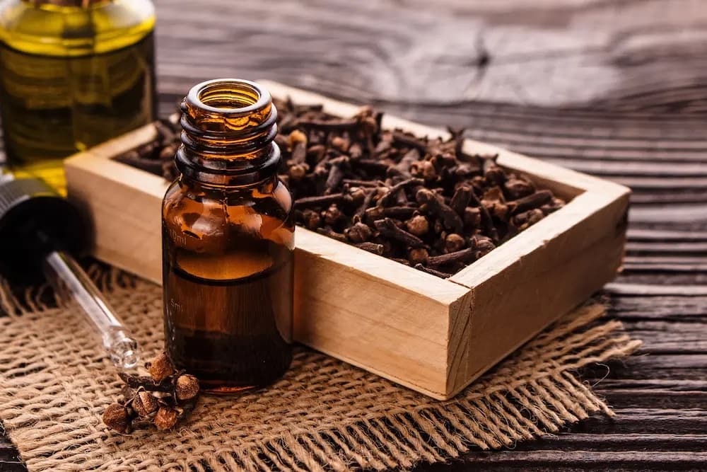 6 Things to Know About Using Clove Oil for Mould Removal