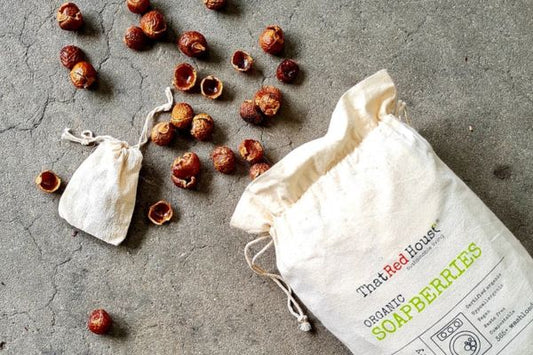 Do Soap Berries Really Work for Laundry? Real Customer Reviews