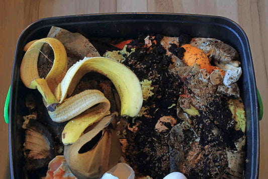 Bokashi Composting: Everything You Ever Wanted to Know