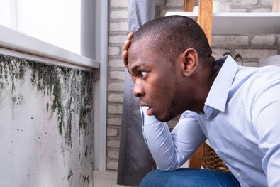 How Do You Remove Mould Naturally? 5 Ways to Tackle Moisture and Mould