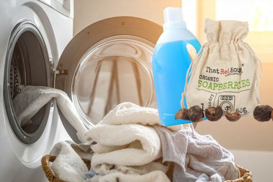 Soap Berries vs Laundry Detergent: Which Is Better?