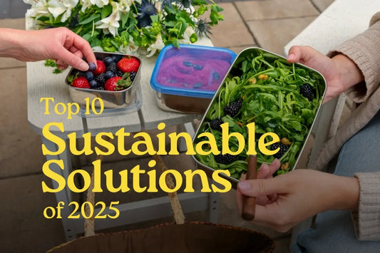The Top 10 Sustainable Solutions of 2025