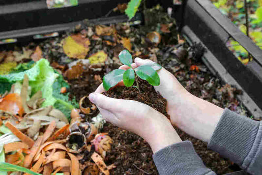 What are the benefits of composting? (For absolute beginners!) 