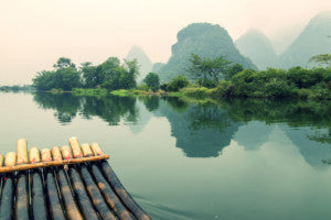 Are Bamboo Sheets and Socks Eco-Friendly? The Hidden Truth Behind ‘Bamboo’ Fabric.