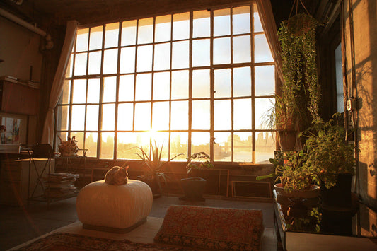 5 Ways to Create Calm in Your Home