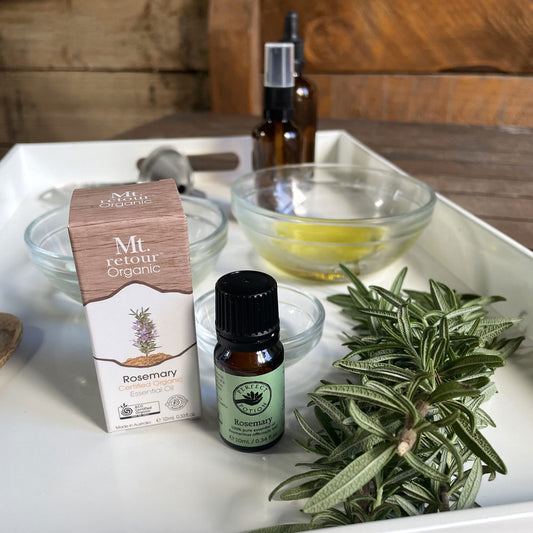 How to Make Rosemary Oil For Luscious Hair